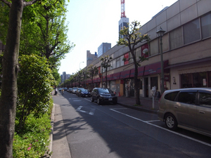 ts-ginza_13.jpg