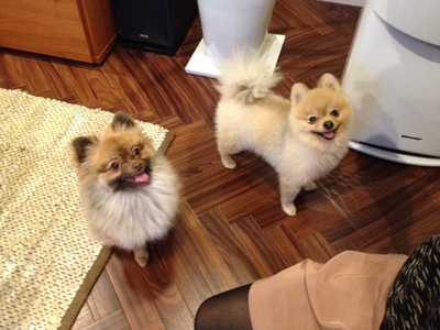2012122701.JPG