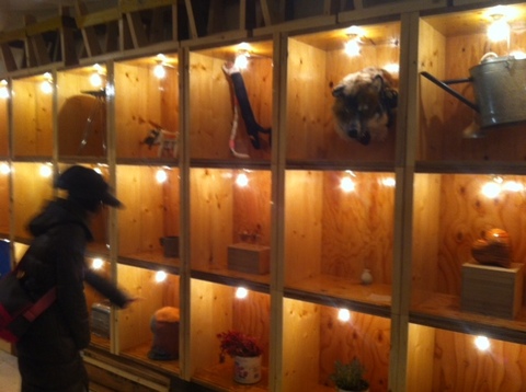 2012011202.JPG
