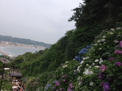 20130610_162011.JPG