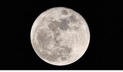 20131003_113625.JPG