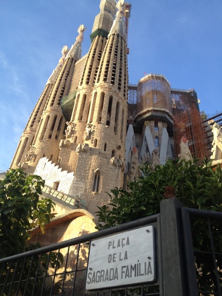 IMG_6016.jpg
