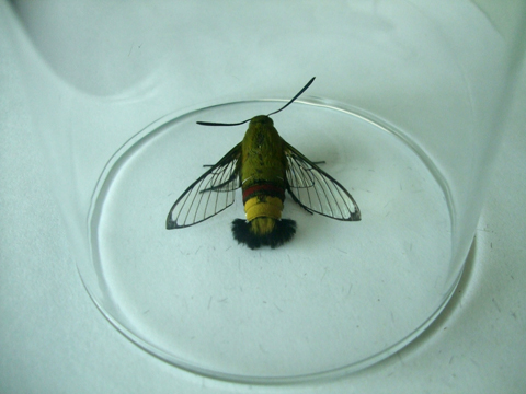 HY120525B.jpg