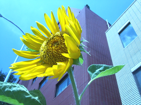 HY120813A.jpg
