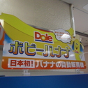 HUGEと展示会と・・・