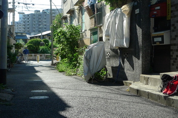 L1010118.JPG
