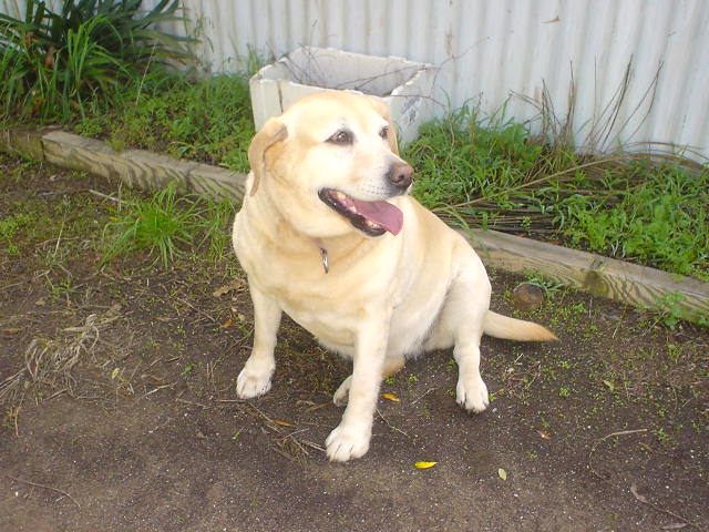 DSC01481.JPG