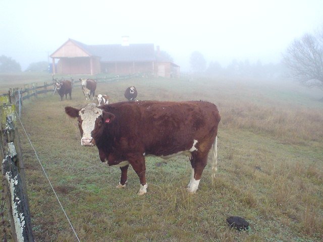 DSC01494.JPG