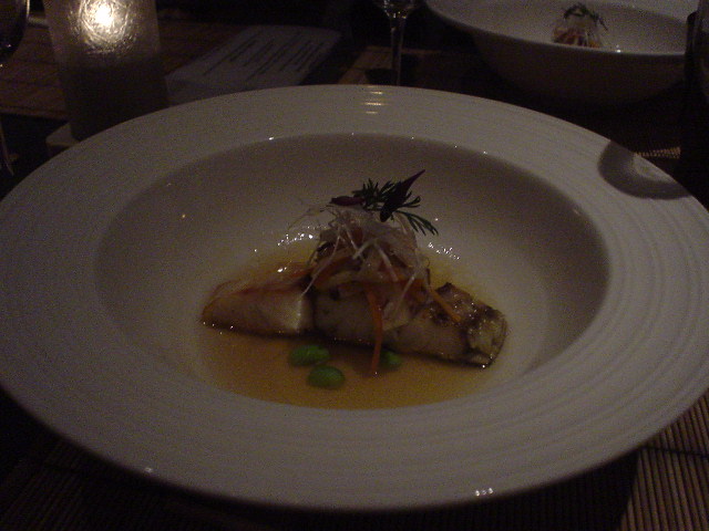 DSC01508.JPG