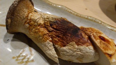 象