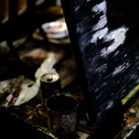Oscary Wine & Art