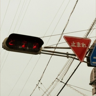 photo.JPG