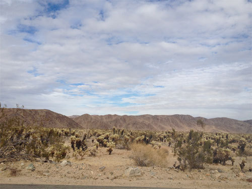 20130130_202336.jpg
