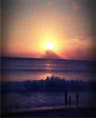 IMG_3519_1.jpg