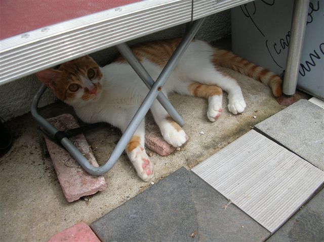 DSCN4229.JPG