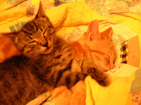 DSCN8884.JPG