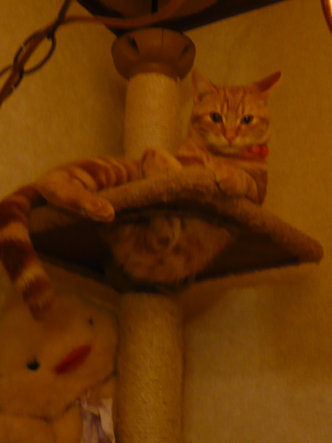 L1030053.JPG
