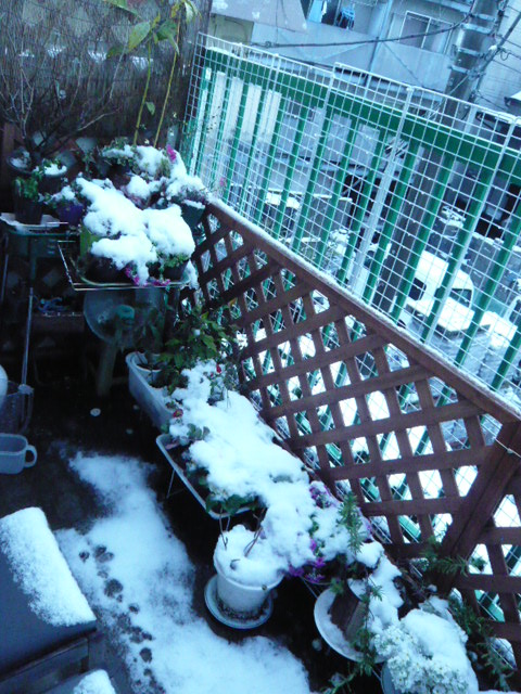 L1050588.JPG