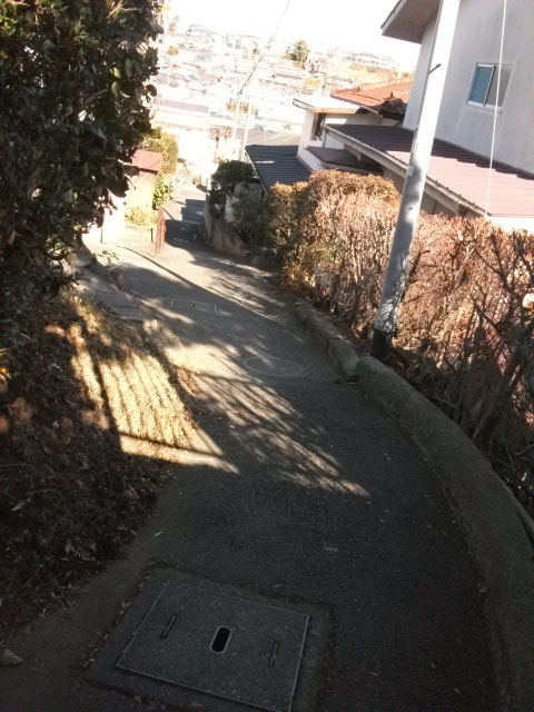 DSCF9748.JPG