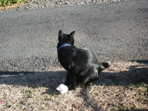 DSCF9792.JPG