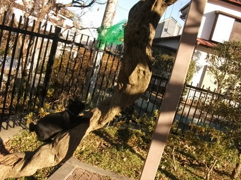DSCF9868.JPG