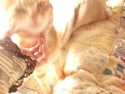 DSCF4843.JPG