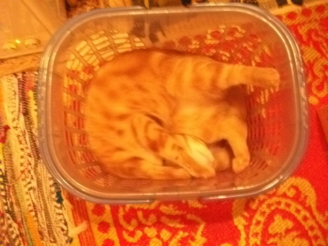 DSCF4965.JPG