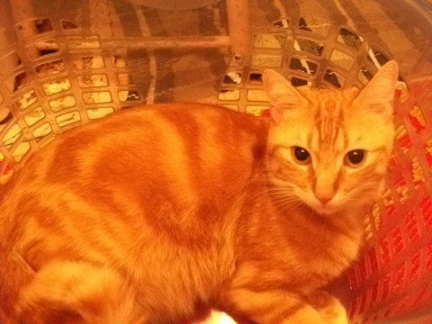 DSCF4968.JPG