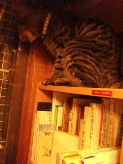 DSCF4973.JPG