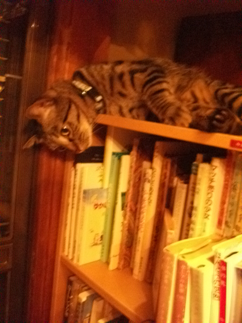 DSCF4976.JPG