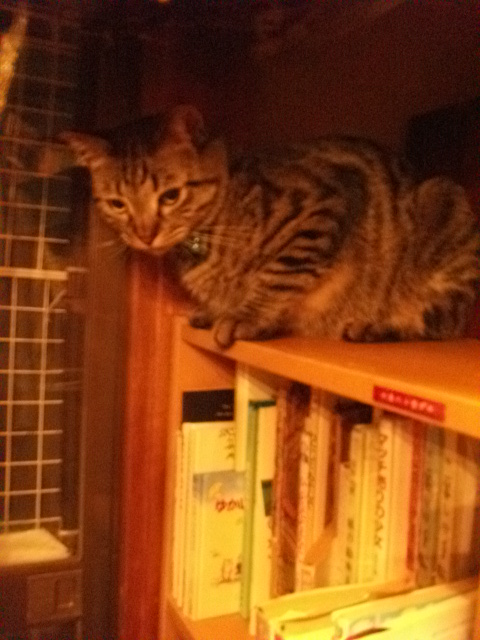 DSCF4979.JPG
