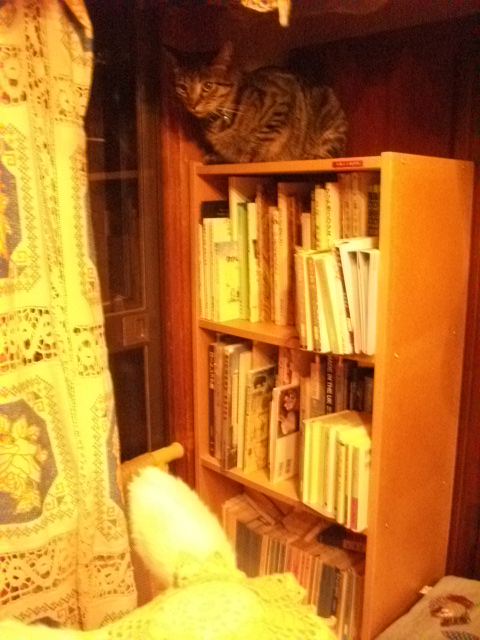 DSCF4984.JPG