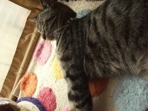 DSCF5274.JPG