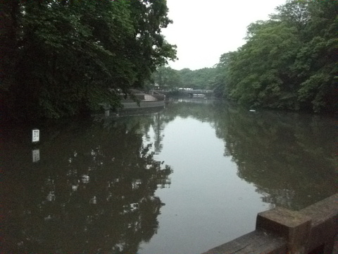 DSCF5281.JPG