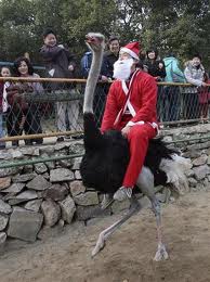 santa.jpeg