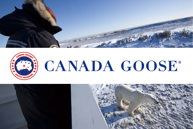 canada-goose3.jpg