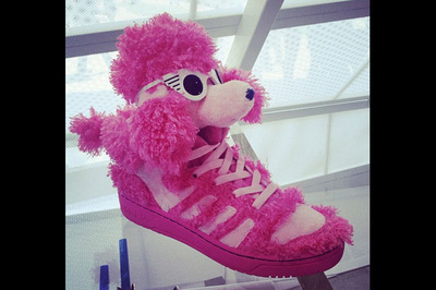 adidas-originals-jeremy-scott-pink-poodle-06-1.jpg