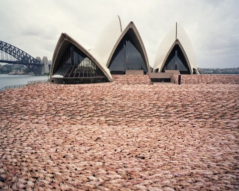 Press-Image-Spencer-Tunick_800x600_zpse0df622a.jpg