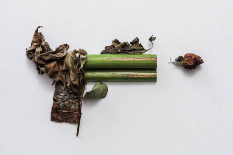Weapons-made-of-Plants4-640x960.jpg