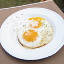 Wild fried egg