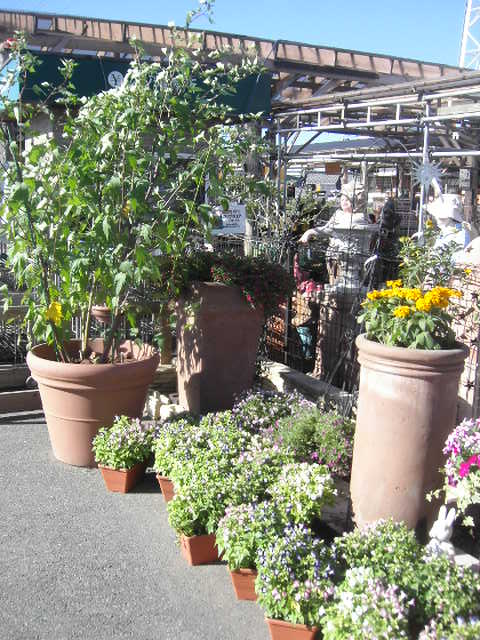 July 04 2010 016.jpg