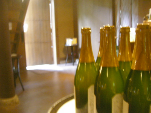 July 04 2010 056.jpg