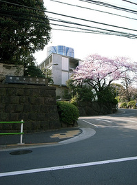 kokusai1.jpg