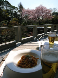 kokusai4.jpg