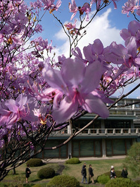 kokusai7.jpg