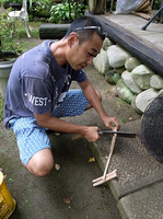 ayu3.jpg