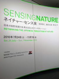 sense1.jpg