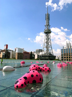 oasis16.jpg