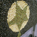 Aichi Triennale 