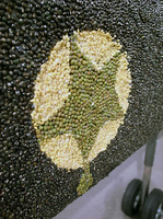 oasis7.jpg